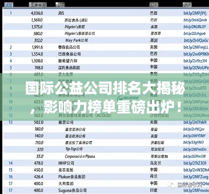 國(guó)際公益公司排名大揭秘，影響力榜單重磅出爐！