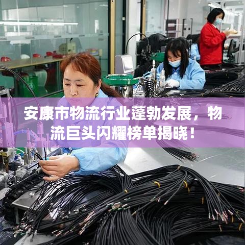 安康市物流行業(yè)蓬勃發(fā)展，物流巨頭閃耀榜單揭曉！