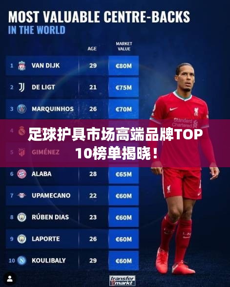 足球護(hù)具市場高端品牌TOP10榜單揭曉！