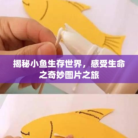 揭秘小魚生存世界，感受生命之奇妙圖片之旅
