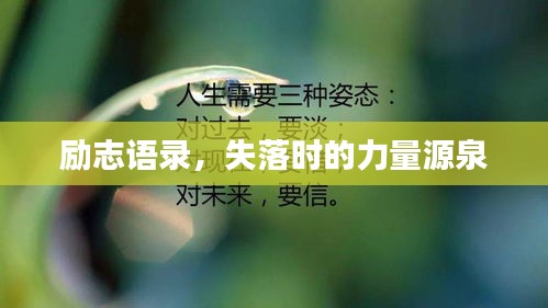 塵土飛揚