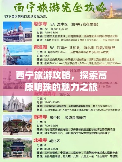 西寧旅游攻略，探索高原明珠的魅力之旅