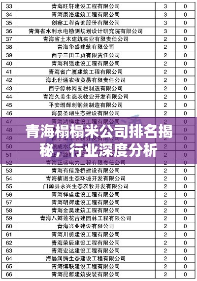 青海榻榻米公司排名揭秘，行業(yè)深度分析