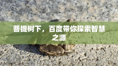 菩提樹下，百度帶你探索智慧之源