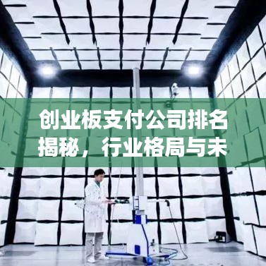 創(chuàng)業(yè)板支付公司排名揭秘，行業(yè)格局與未來趨勢展望