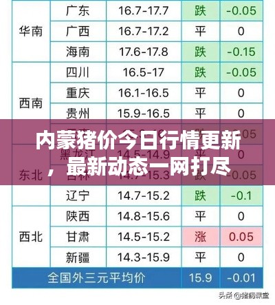 內(nèi)蒙豬價今日行情更新，最新動態(tài)一網(wǎng)打盡