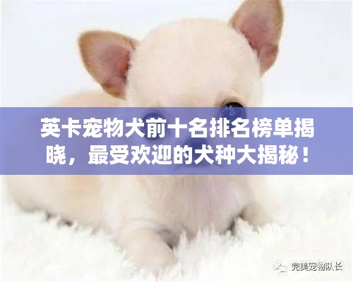 公司簡介 第5頁
