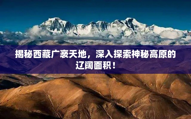 揭秘西藏廣袤天地，深入探索神秘高原的遼闊面積！