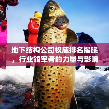 2025年4月 第17頁