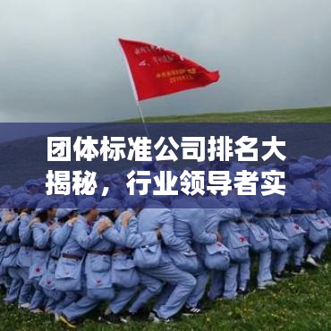 團體標(biāo)準(zhǔn)公司排名大揭秘，行業(yè)領(lǐng)導(dǎo)者實力榜