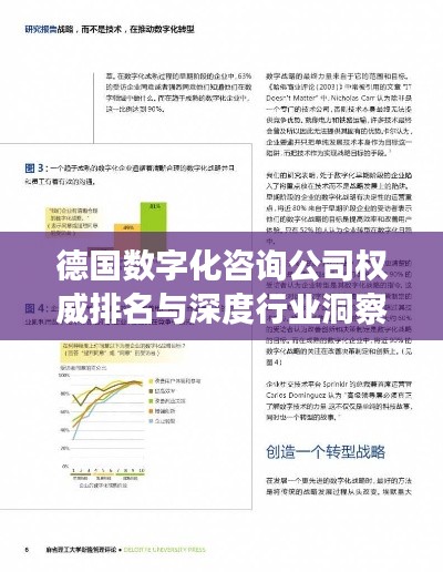 德國(guó)數(shù)字化咨詢公司權(quán)威排名與深度行業(yè)洞察揭秘