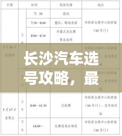 長(zhǎng)沙汽車選號(hào)攻略，最新指南助你輕松選號(hào)！