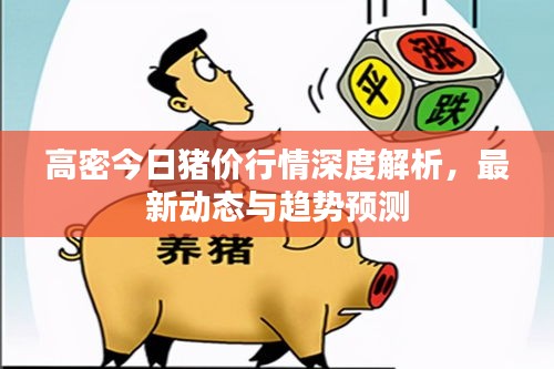高密今日豬價行情深度解析，最新動態(tài)與趨勢預(yù)測