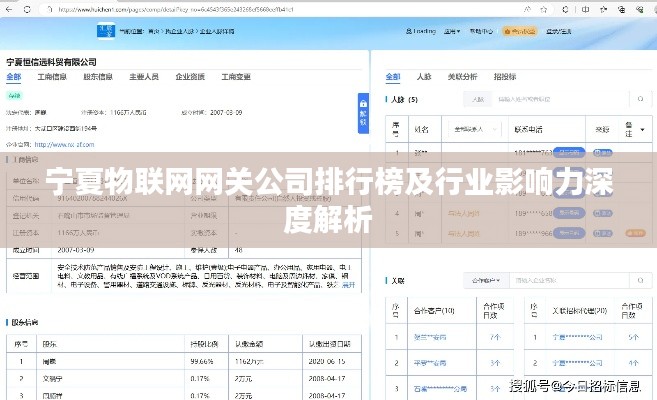 寧夏物聯(lián)網(wǎng)網(wǎng)關公司排行榜及行業(yè)影響力深度解析