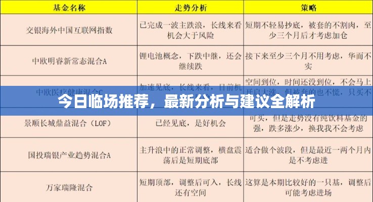 今日臨場推薦，最新分析與建議全解析