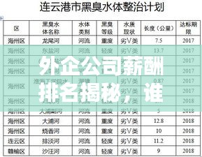 外企公司薪酬排名揭秘，誰坐薪酬之巔？