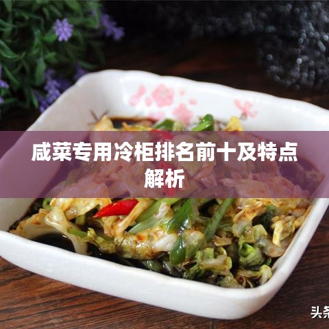 咸菜專用冷柜排名前十及特點解析