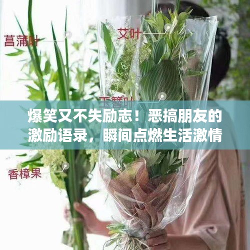 樸實(shí)無(wú)華