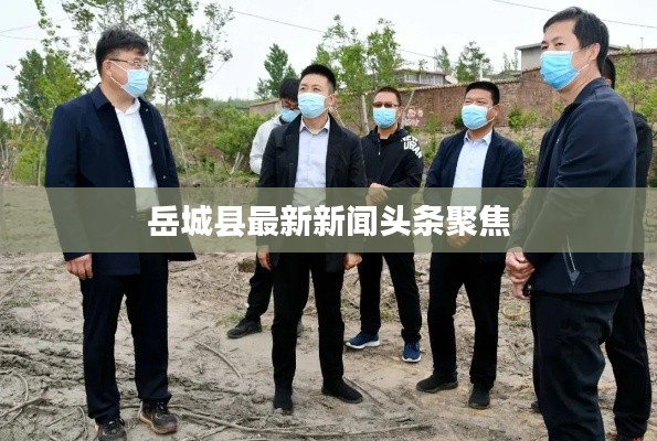 岳城縣最新新聞?lì)^條聚焦
