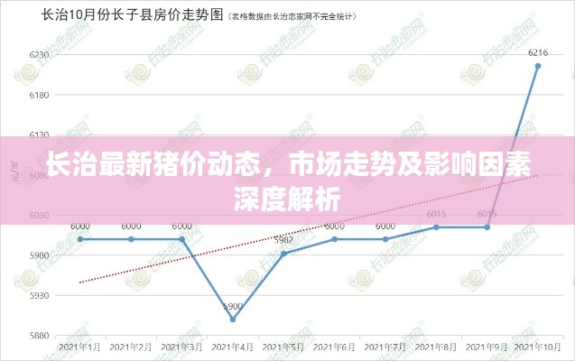 長(zhǎng)治最新豬價(jià)動(dòng)態(tài)，市場(chǎng)走勢(shì)及影響因素深度解析