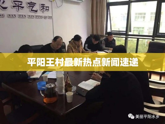 平陽(yáng)王村最新熱點(diǎn)新聞速遞