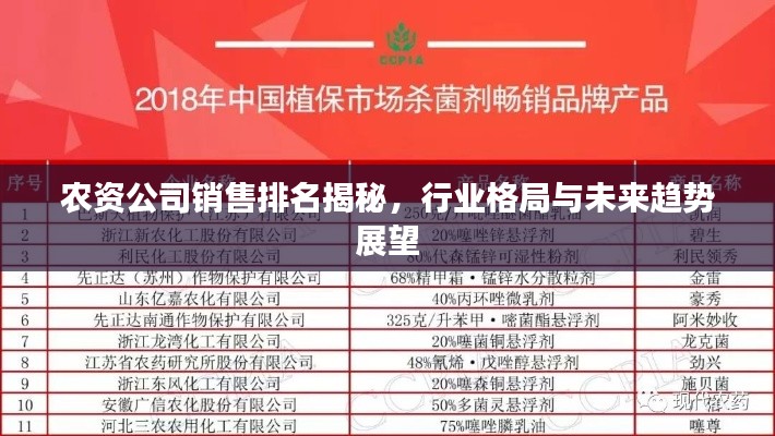 農(nóng)資公司銷售排名揭秘，行業(yè)格局與未來趨勢展望