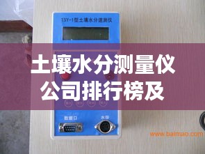 龍飛鳳舞