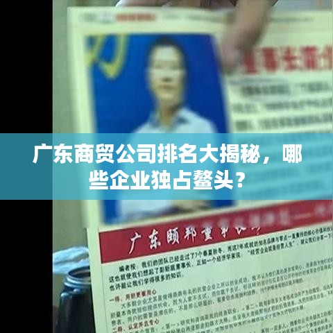 廣東商貿(mào)公司排名大揭秘，哪些企業(yè)獨(dú)占鰲頭？
