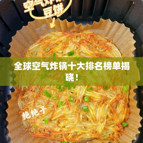 全球空氣炸鍋十大排名榜單揭曉！