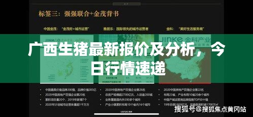 廣西生豬最新報(bào)價(jià)及分析，今日行情速遞