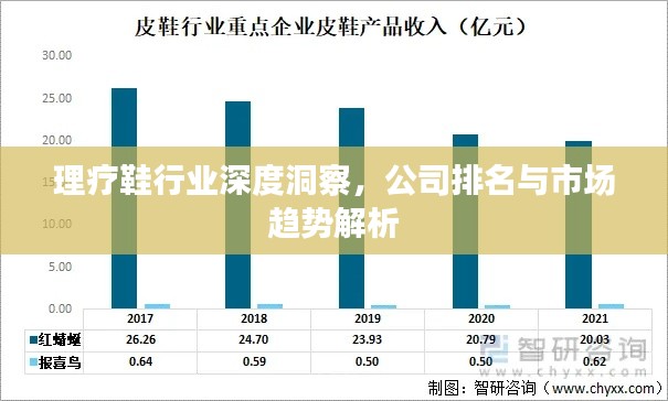 理療鞋行業(yè)深度洞察，公司排名與市場趨勢解析