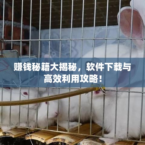 賺錢秘籍大揭秘，軟件下載與高效利用攻略！
