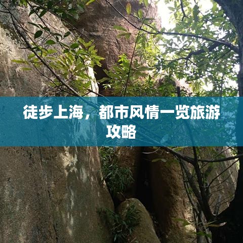 徒步上海，都市風情一覽旅游攻略