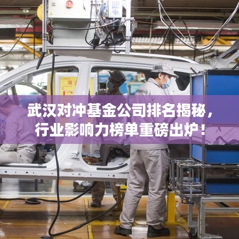 武漢對(duì)沖基金公司排名揭秘，行業(yè)影響力榜單重磅出爐！