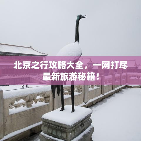 北京之行攻略大全，一網(wǎng)打盡最新旅游秘籍！