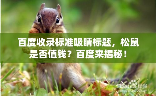 百度收錄標(biāo)準(zhǔn)吸睛標(biāo)題，松鼠是否值錢？百度來(lái)揭秘！