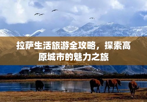 拉薩生活旅游全攻略，探索高原城市的魅力之旅