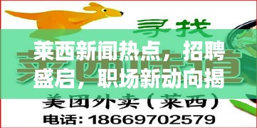 萊西新聞熱點，招聘盛啟，職場新動向揭秘