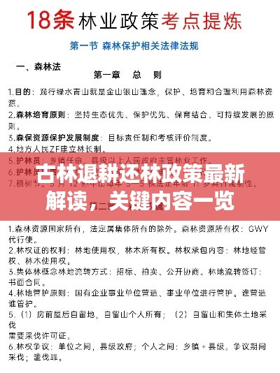 古林退耕還林政策最新解讀，關鍵內(nèi)容一覽