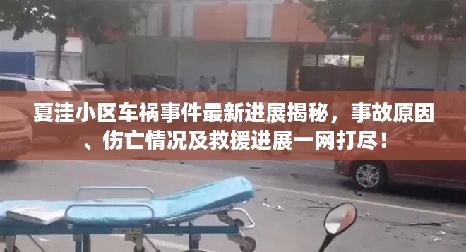 夏洼小區(qū)車禍事件最新進展揭秘，事故原因、傷亡情況及救援進展一網(wǎng)打盡！