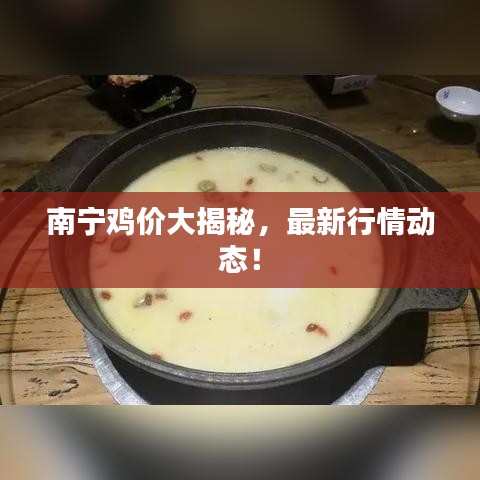 南寧雞價大揭秘，最新行情動態(tài)！