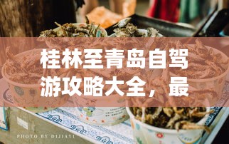 桂林至青島自駕游攻略大全，最新路線、住宿、美食一網(wǎng)打盡！