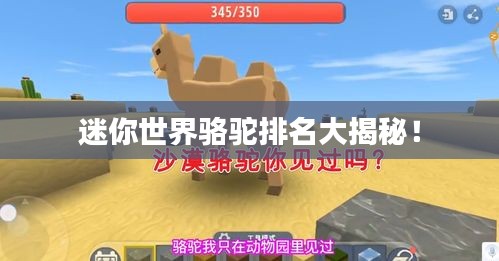 迷你世界駱駝排名大揭秘！