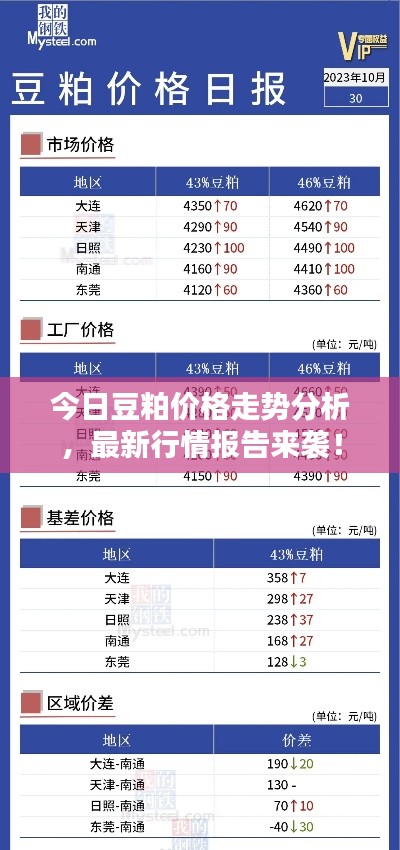 今日豆粕價格走勢分析，最新行情報告來襲！