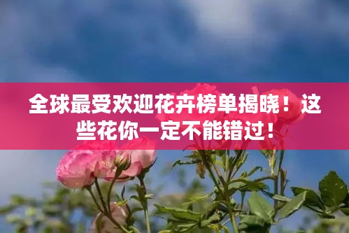 全球最受歡迎花卉榜單揭曉！這些花你一定不能錯過！