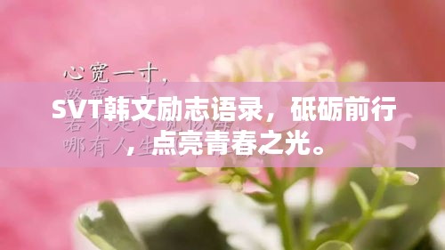 SVT韓文勵志語錄，砥礪前行，點(diǎn)亮青春之光。