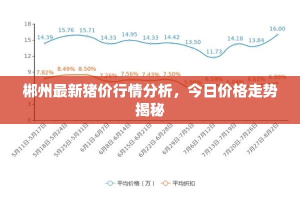 郴州最新豬價(jià)行情分析，今日價(jià)格走勢揭秘