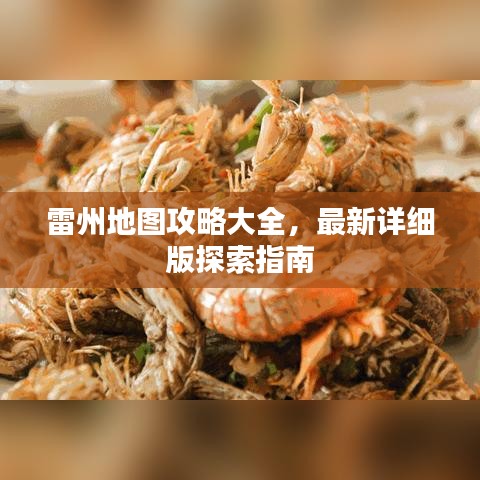雷州地圖攻略大全，最新詳細(xì)版探索指南