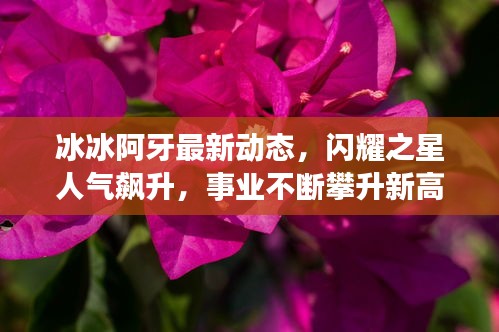 冰冰阿牙最新動態(tài)，閃耀之星人氣飆升，事業(yè)不斷攀升新高度