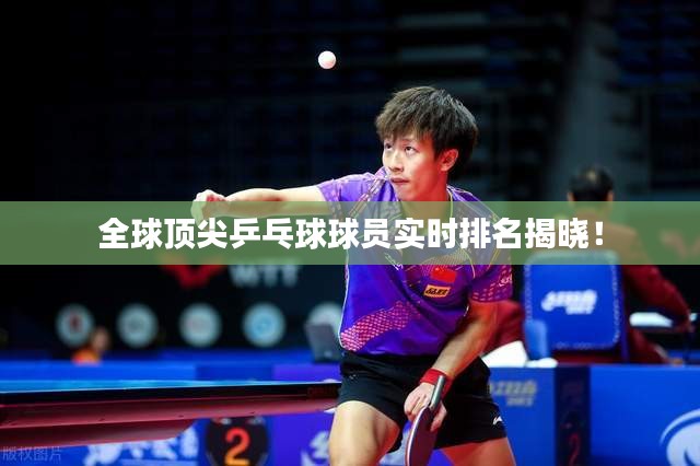 全球頂尖乒乓球球員實時排名揭曉！
